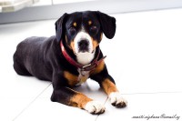 /album/marticizkova/dsc-0173-1-6-jpg/